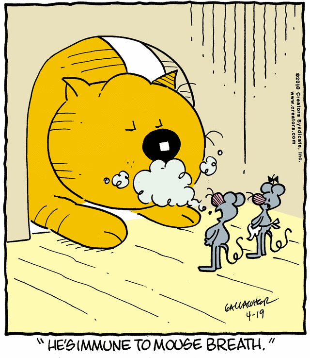 heathcliff